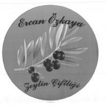 ercan özkaya zeytin çiftliği