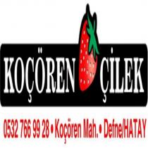 koçören çilek 0532 766 9928 koçören mah. defne/hatay