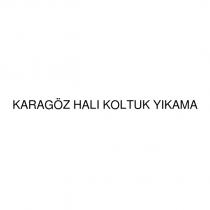 karagöz halı koltuk yıkama
