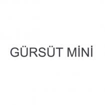 gürsüt mini