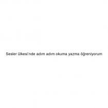 sesler ülkesi'nde adım adım okuma yazma öğreniyorum