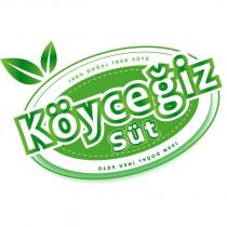 köyceğiz süt 100 % doğal inek sütü