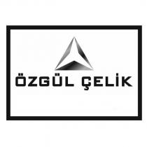 özgül çelik