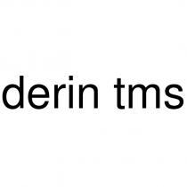 derin tms