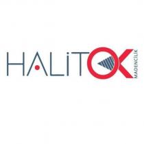 halit ok madencilik