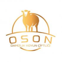 oson damızlık koyun çiftliği