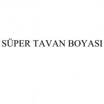 süper tavan boyası