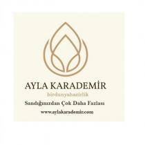ayla karademir birdunyahazirlik sandığınızdan çok daha fazlası www.aylakarademir.com