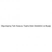olgunlaşmış tatlı karpuzu teşhis eden detektörü ve bıçağı