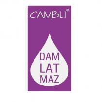cambu dam lat maz