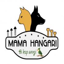 mama hangarı bi kap sevgi