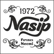 1972 nasip fırıncı necmi