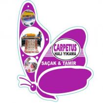 carpetus halı yıkama saçak ve tamir