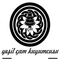 yşm yeşil çam kuyumcusu