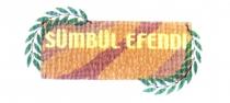 sümbül efendi