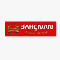 bahçıvan turşu zeytin