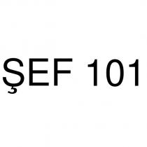 şef 101
