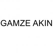 gamze akın