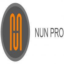nun pro