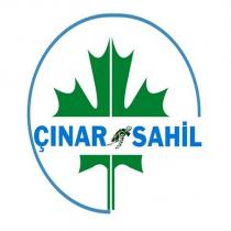 çınar sahil