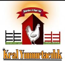 kral yumurtacılık yumurtanın en doğal hali