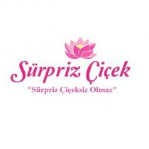 sürpriz çiçek sürpriz çiçeksiz olmaz