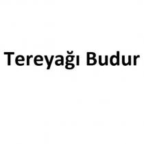 tereyağı budur