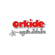 orkide zeytin dalından