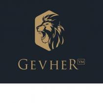 gevher vm