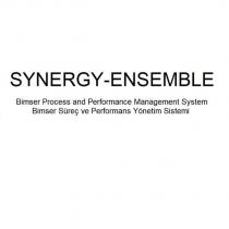 synergy-ensemble bimser process and performance management system bimser süreç ve performans yönetim sistemi