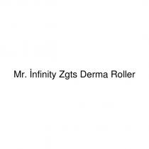 mr. infinity zgts derma roller