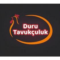 duru tavukçuluk