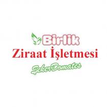 birlik ziraat işletmesi şeker domates