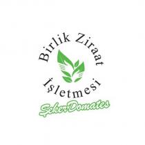 birlik ziraat işletmesi şeker domates