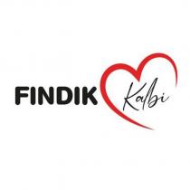 fındık kalbi