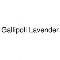 gallipoli lavender