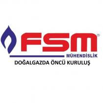 fsm mühendislik doğalgazda öncü kuruluş
