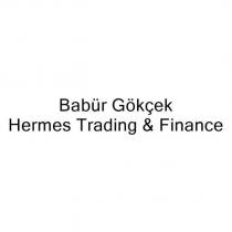 babür gökçek hermes trading & finance