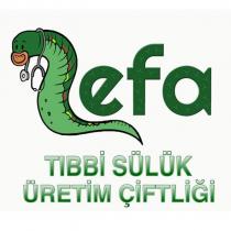 lefa tıbbi sülük üretim çiftliği