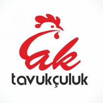 ak tavukçuluk