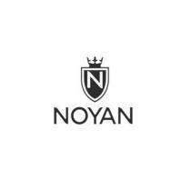 n noyan