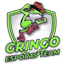 gringo esports team