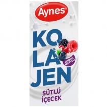 aynes ko la jen sütlü içecek orman meyveli
