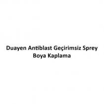 duayen antiblast geçirimsiz sprey boya kaplama