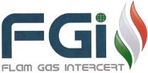 fgi flam gas intercert