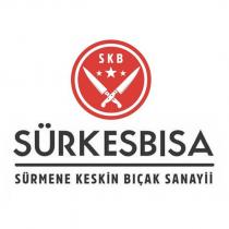 skb sürkesbısa sürmene keskin bıçak sanayii