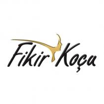 fikir koçu