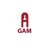 a gam