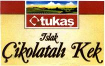 tukaş ıslak çikolatalı kek
