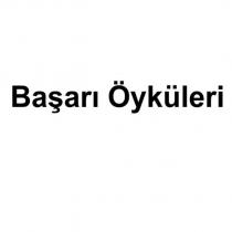 başarı öyküleri